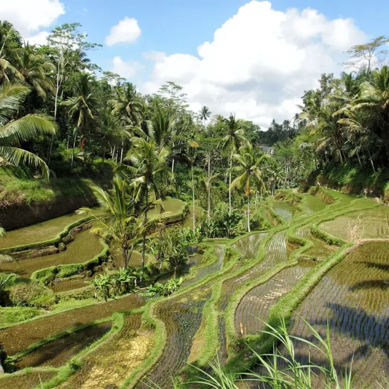 Ubud Bali-1