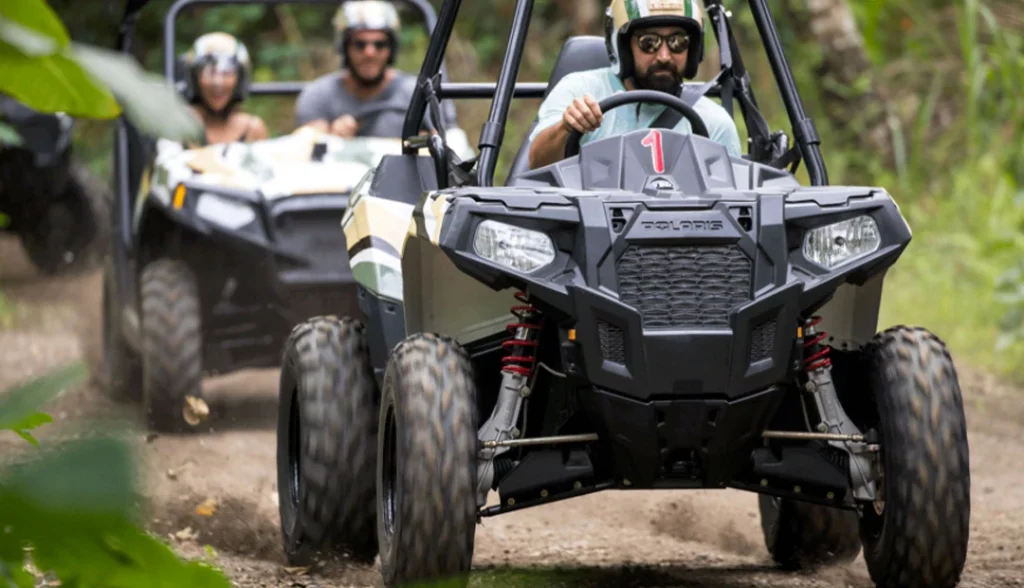 Jungle Buggies-Activities-Img-1