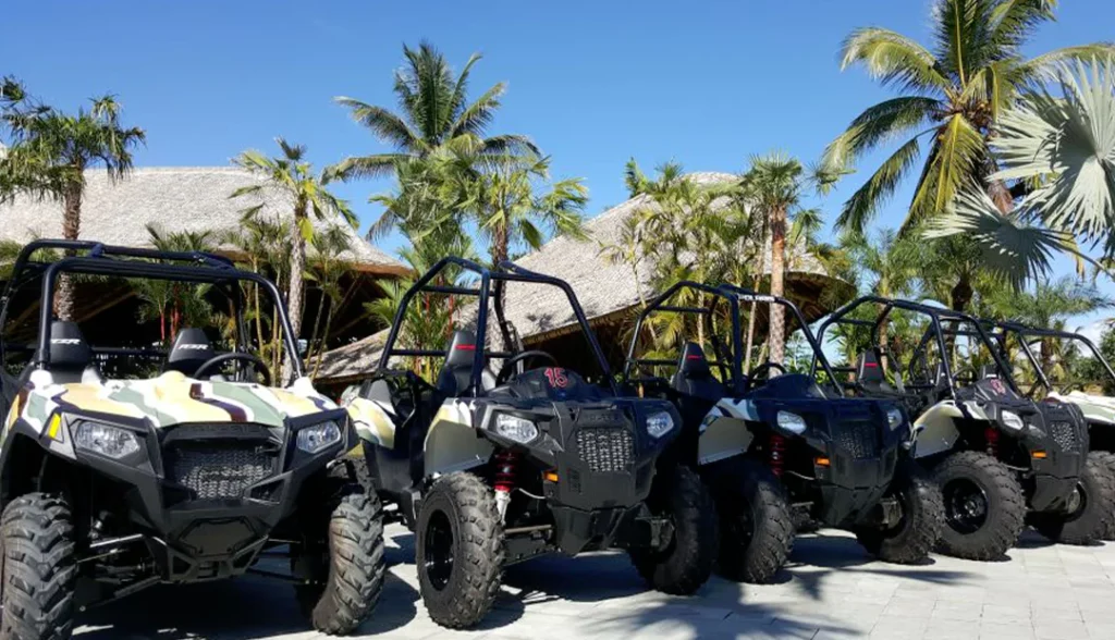 Jungle Buggies-Activities-Img-2