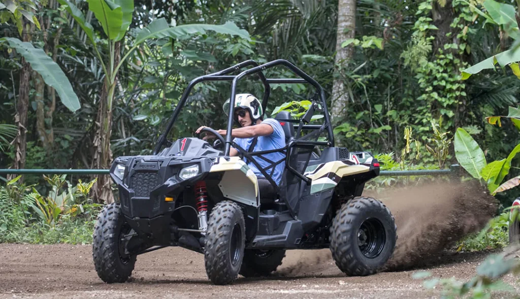 Jungle Buggies-Activities-Img-3