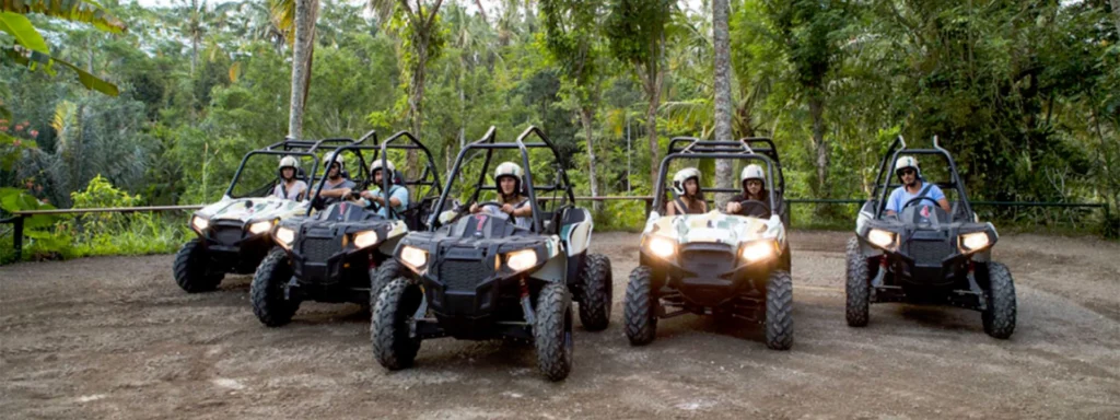 Jungle Buggies-Activities-cvrImg-1