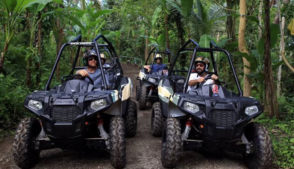 Jungle Buggies-Single-Polaris-Ace-Activities-Img-4