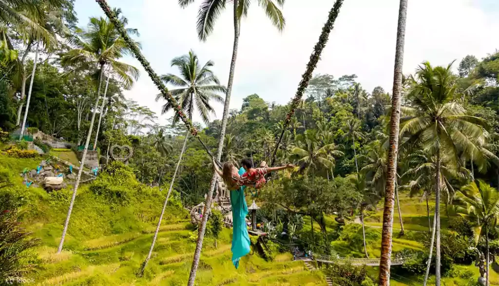 Alas Harum with swings-tour_bali_img