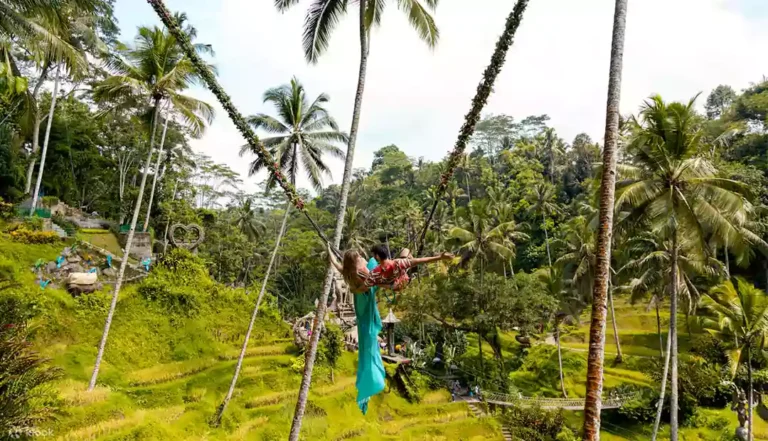 Alas Harum with swings-tour_bali_img