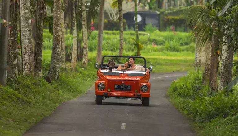 VW Safari Tour-tour_bali_img